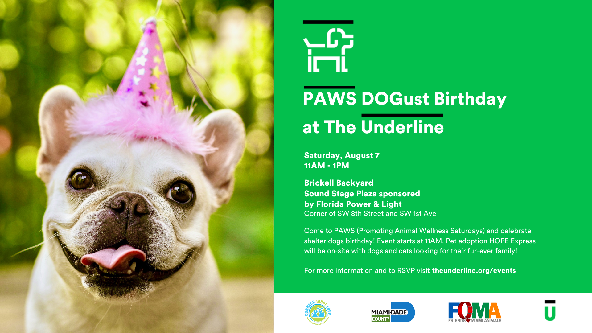 PAWS DOGust Birthday - The Underline PAWS DOGust Birthday - The Underline
