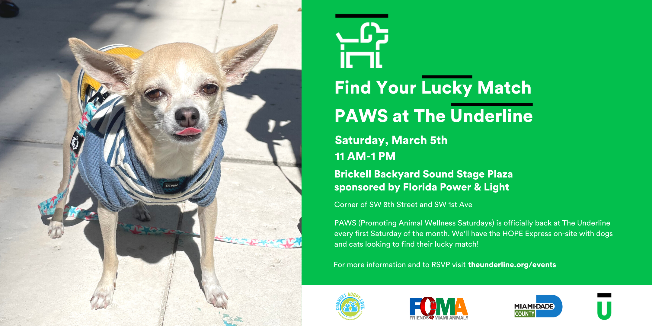 Hope for paws lucky leash online